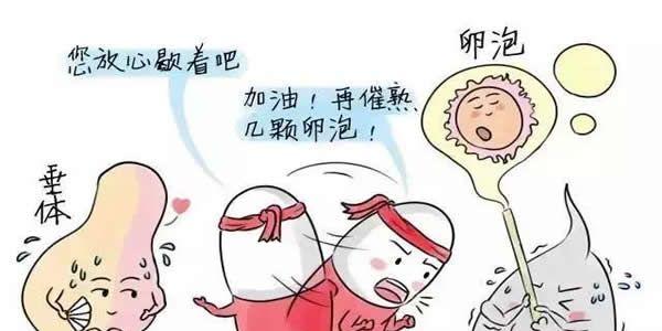 做试管婴儿降调的作用和注意事项