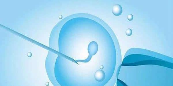 全国做试管婴儿哪家医院好 试管婴儿排名前十的医院