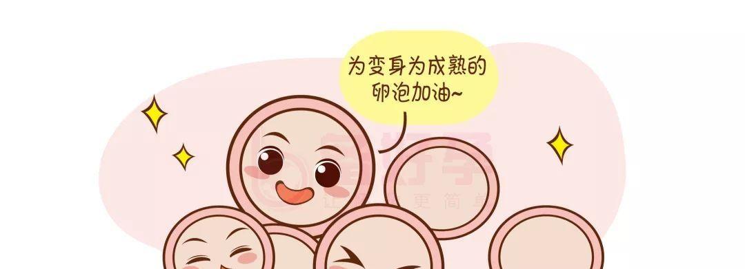 第三代试管婴儿的流程和时间整理汇总