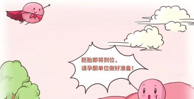 第三代试管婴儿的流程和时间整理汇总