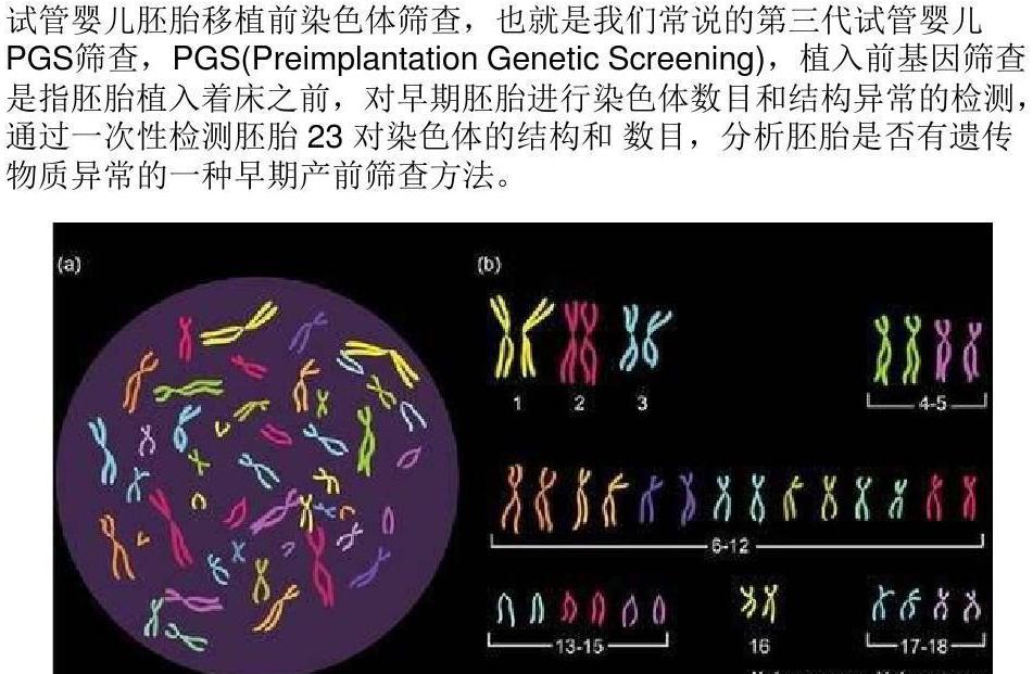 泰国第三代试管婴儿详细流程图解