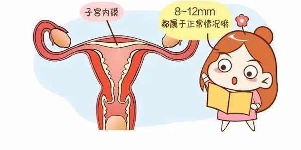 子宫内膜薄会造成不孕吗