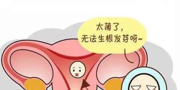 子宫内膜薄会造成不孕吗