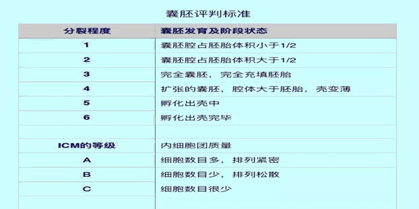 12375837-fe3680ade067245a_副本.png