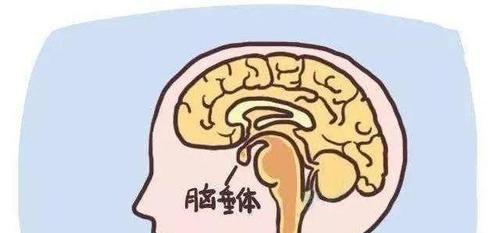 高泌乳素血症对女性不孕和流产的影响极大！
