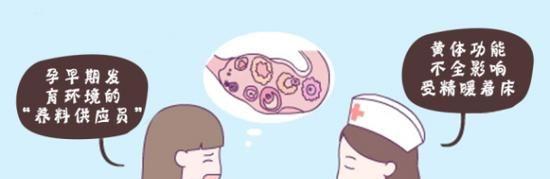 黄体功能不全的原因和症状全解析