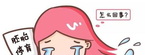 试管婴儿胚胎停育的原因有哪些