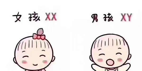 试管婴儿能选择男孩女孩吗