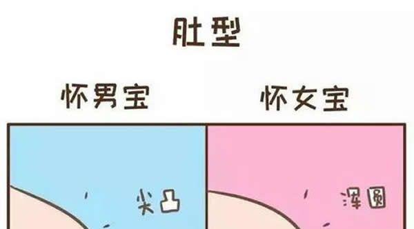 u=688664174,3877643389&fm=26&gp=0.jpg