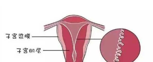 5种方法告诉你：子宫内膜薄了怎么办