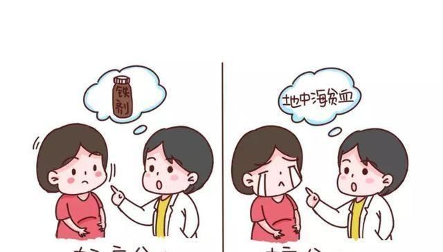 关于第三代试管婴儿可筛选遗传病-地中海贫血的报告解读