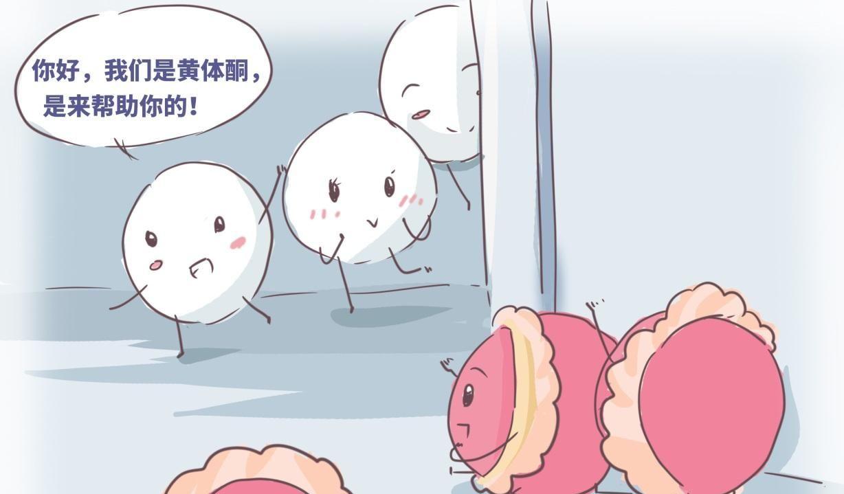 试管婴儿孕酮高怎么办？需做到这5点
