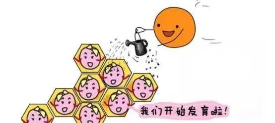 漫画演示试管婴儿进周期具体流程图及步骤让你牢牢掌握试管婴儿知识