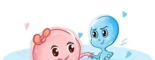 漫画演示试管婴儿进周期具体流程图及步骤让你牢牢掌握试管婴儿知识