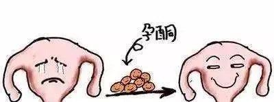 做试管婴儿孕酮高为什么不能移植？移植也会着床失败