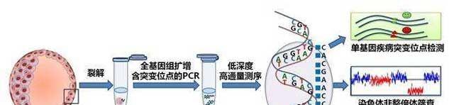 做第三代试管婴儿的过程及技术优势