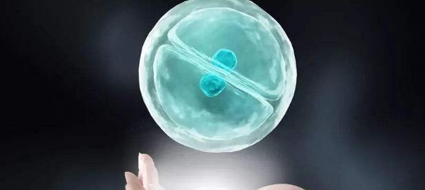 做试管婴儿过程中可能对女性造成的四大危害
