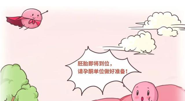 试管婴儿需要看孕酮吗？关于孕酮这些问题你必须知道
