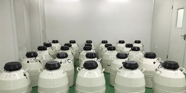 试管婴儿冷冻胚胎移植的这些问题你知道吗-原因，优势以及过程