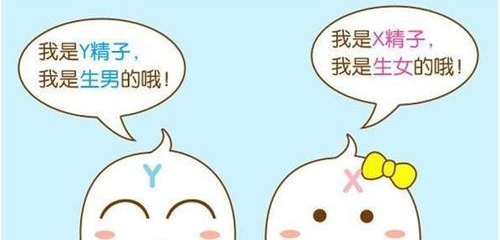 试管婴儿男孩多还是女孩多？大数据显示：一代男孩多二代女孩多