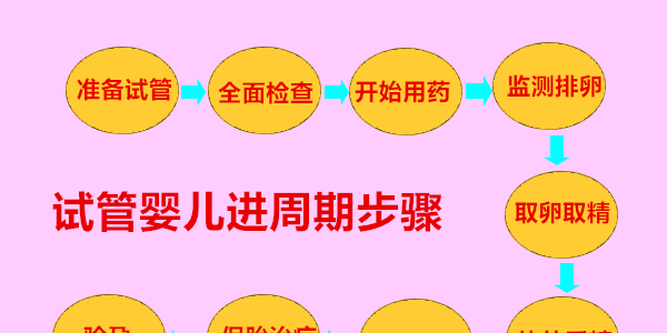 试管婴儿进周期步骤