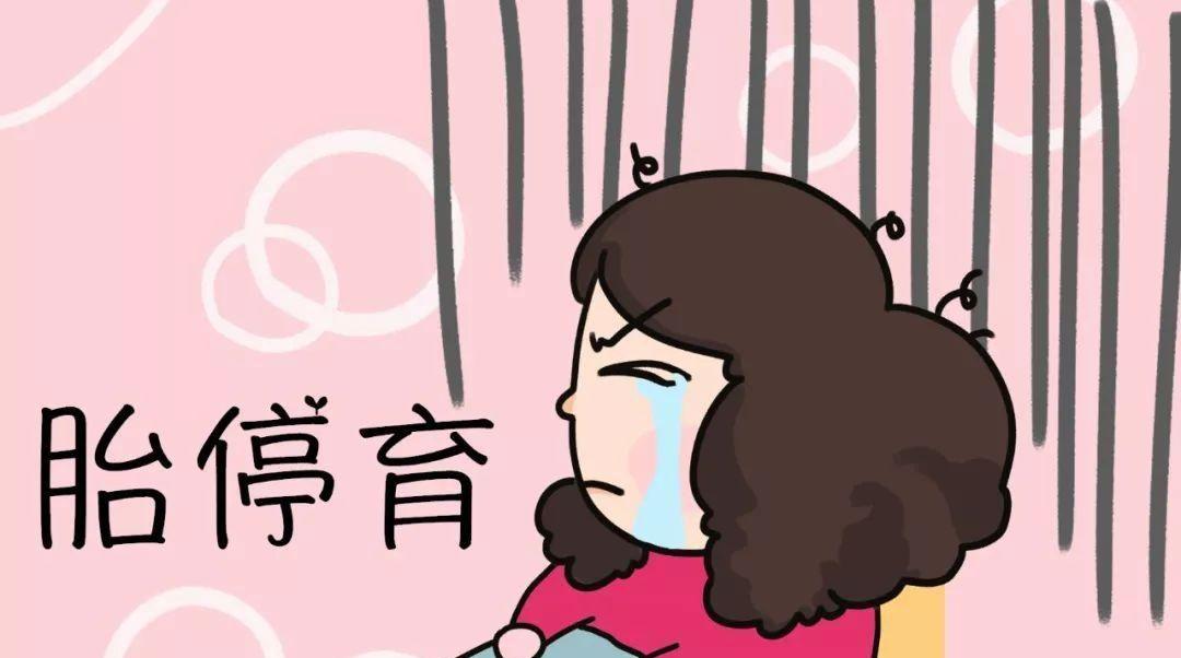 胎停育两次做第三代<a style='border-bottom:1px dashed #F00;color:#3a7fde;cursor:pointer;' href='https://www.yi-yun-tong.com/article-665.html'>试管婴儿</a>