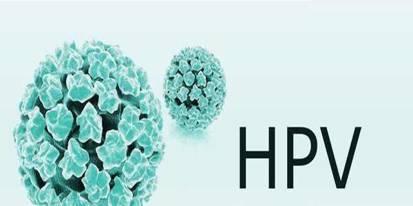 感染了hpv病毒还能怀孕吗