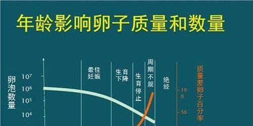 在宜昌做试管婴儿的费用和成功率