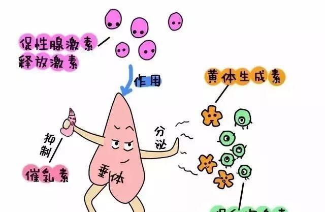 影响卵巢功能衰退的9大因素和减缓衰退速度的7个方法你不能不知道！