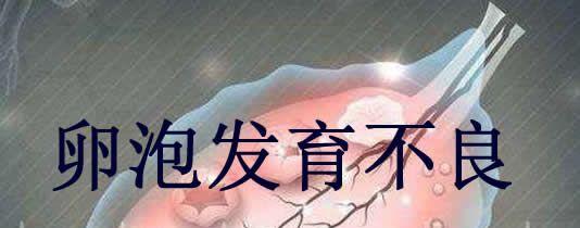 src=http___nimg.ws.126.net__url=http%3A%2F%2Fdingyue.ws.126.net%2F2021%2F0420%2F608fefb8p00qruunk00akd000go00b2p.png&thumbnail=650x2147483647&quality=80&type=jpg&refer=http___nimg.ws.jpg