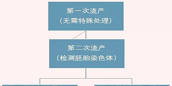 早期反复流产的原因是什么
