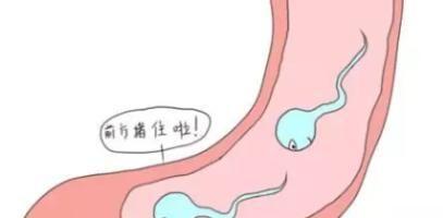 无精症能做试管婴儿吗？专家说要分情况！