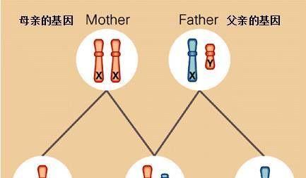特纳氏综合征图片