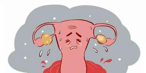 卵巢功能衰退闭经怎么调理呢？