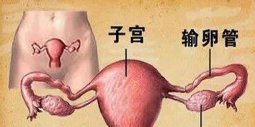卵巢功能衰退闭经怎么调理呢？