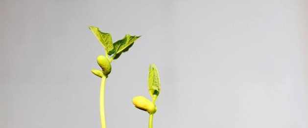 三分钟教你掌握幼稚子宫的临床症状和治疗方法！
