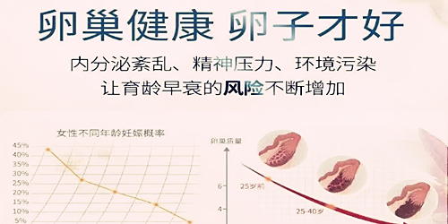 卵巢调理