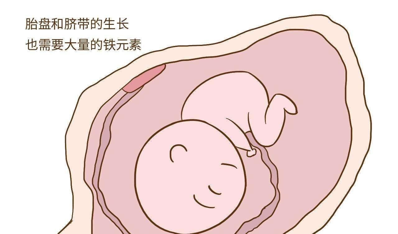 缺铁性贫血
