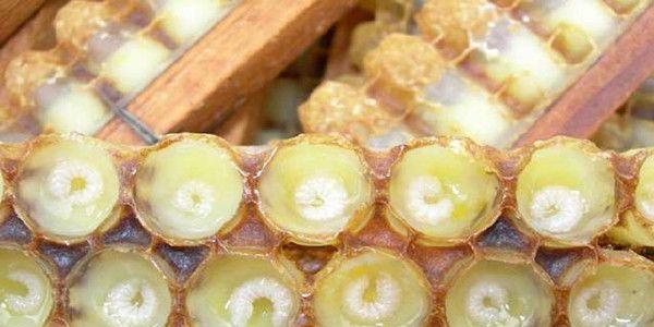 提醒：卵巢功能衰退吃这5类食品会加剧，饮食调理早知道