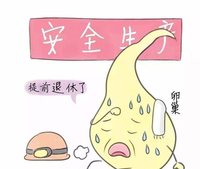 卵巢功能衰退怎么调理