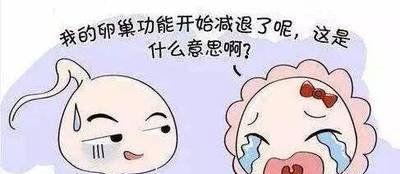 卵巢功能衰退怎么调理恢复得最快