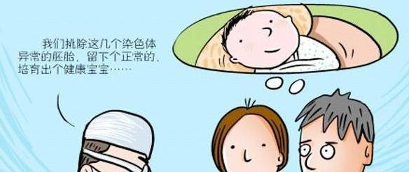 第三代试管婴儿