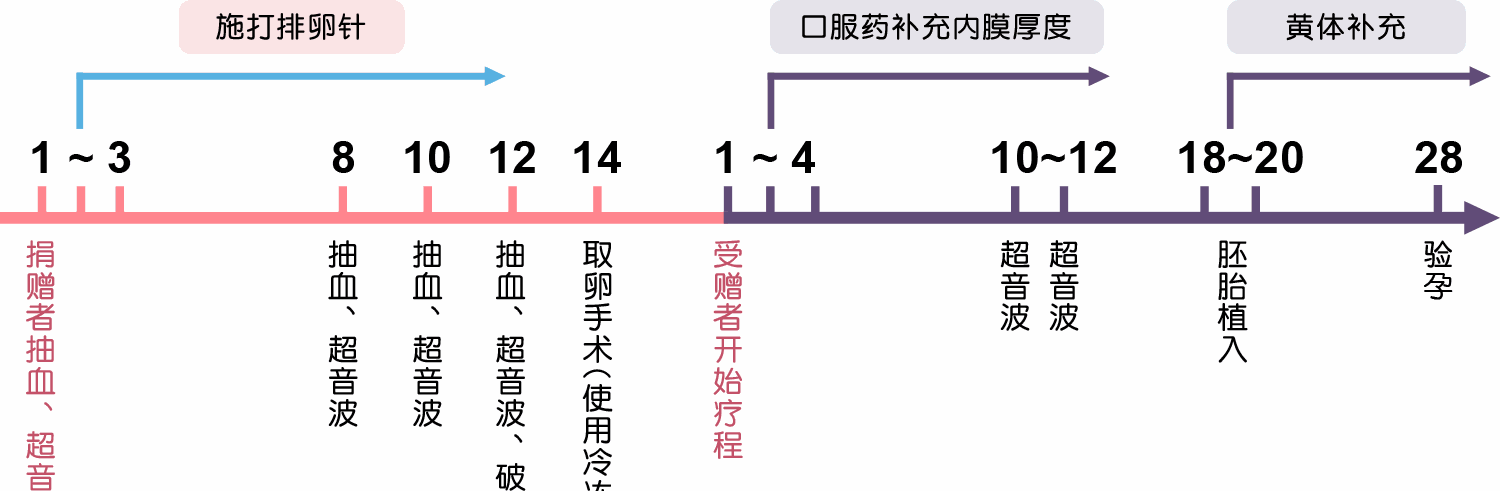 怀孕<a style='border-bottom:1px dashed #F00;color:#3a7fde;cursor:pointer;' href='https://www.yi-yun-tong.com/article-665.html'>试管婴儿</a>流程图.gif