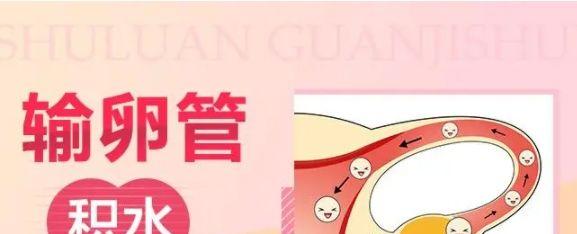 q5.jpg