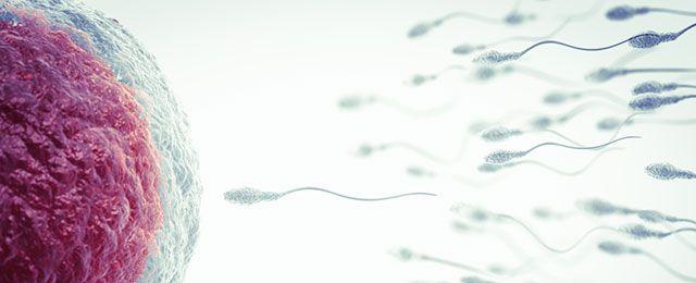 7-20111G60140C6.jpg