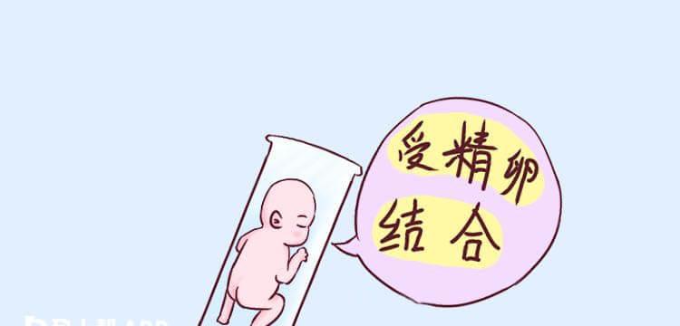 第二代试管婴儿精卵结合容易造成伤害