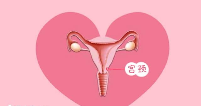 内膜薄用长方案促排有足够时间治疗