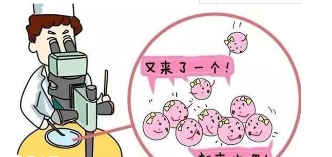 三代试管前需要先体检
