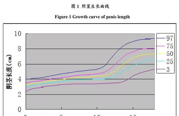 阴茎生长曲线