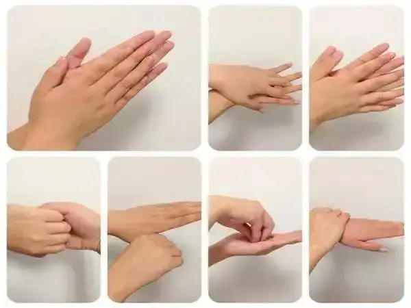 洗手的正确步骤